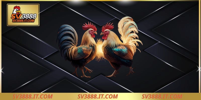 Quy định về thắng thua khi tham gia