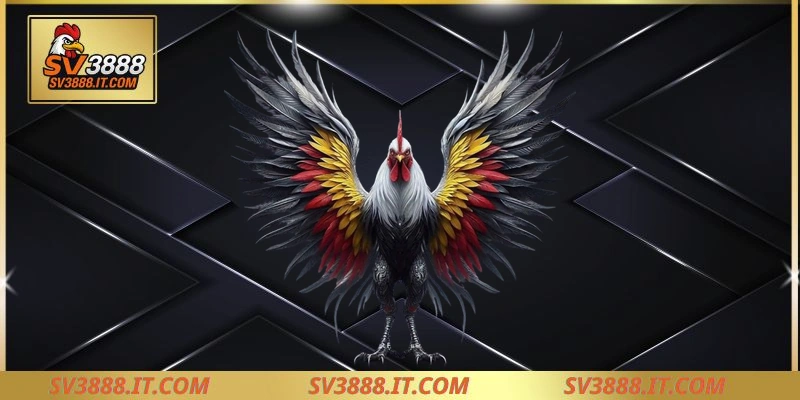 Những màu cơ bản của gà điều