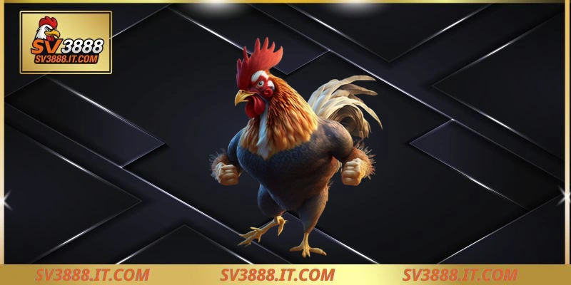 Vảy song cúc là như thế nào?