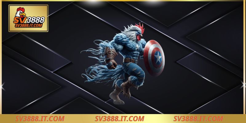 Hướng dẫn tham gia cá cược